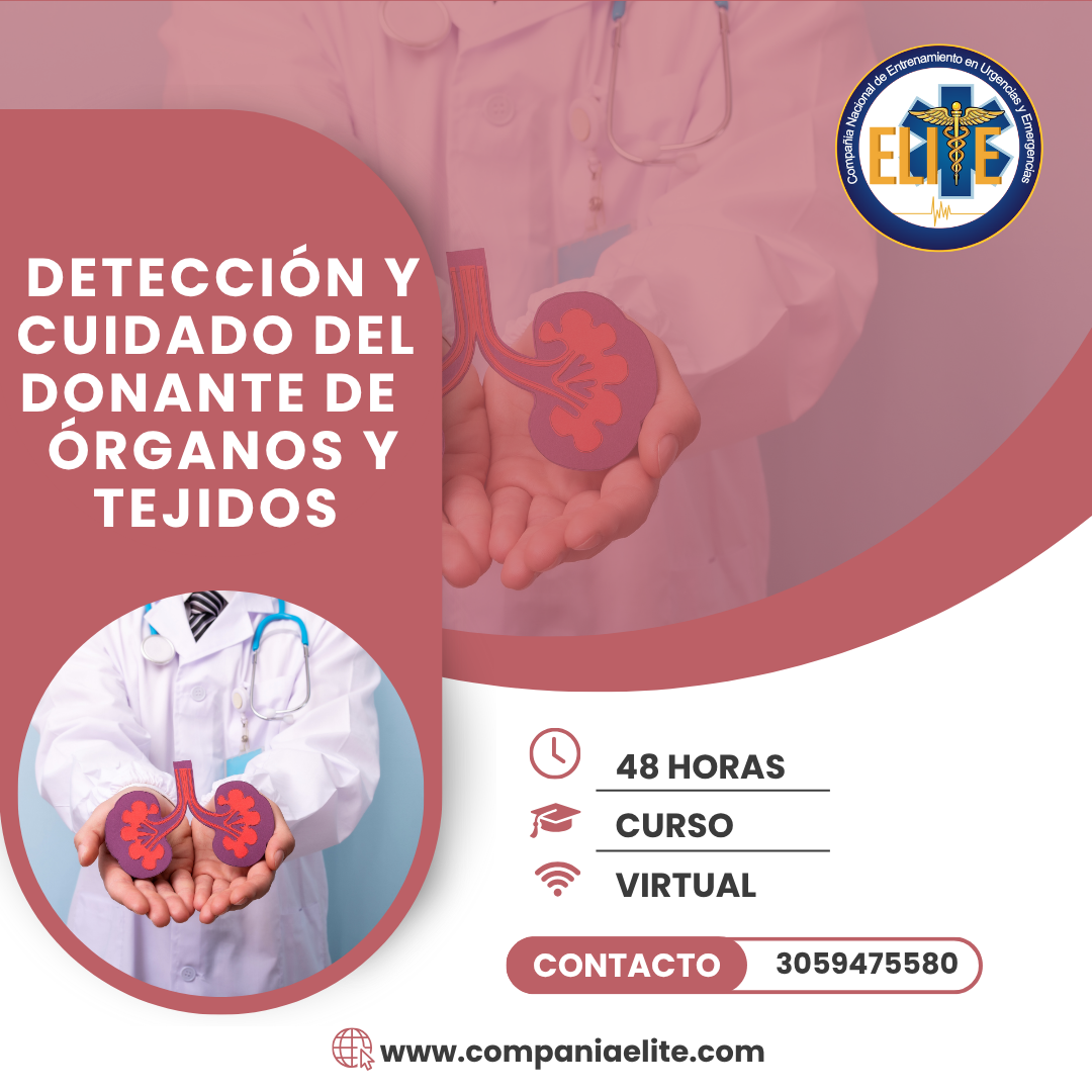 DETECCIÓN Y CUIDADO DEL DONANTE DE ÓRGANOS Y TEJIDOS